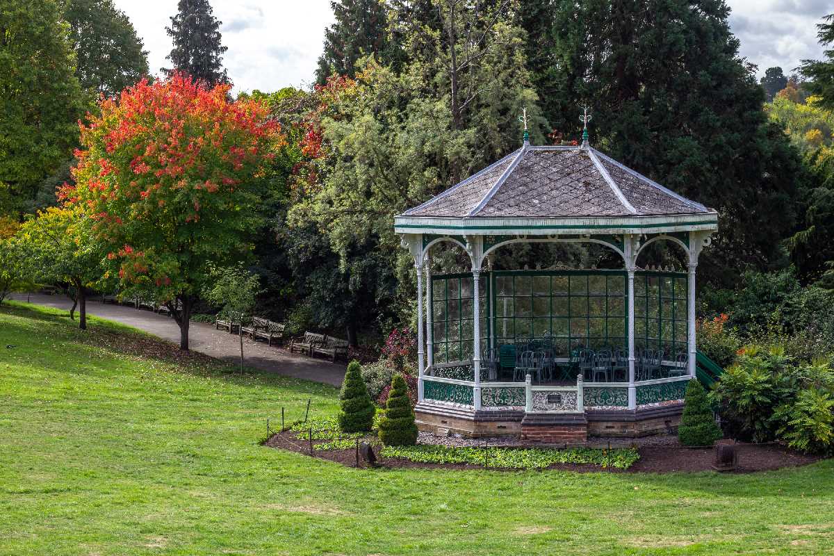 Autumn comes to the Botanical gardens